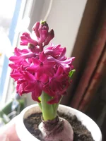 IMG_5310.webp