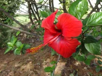 DSC01271.webp