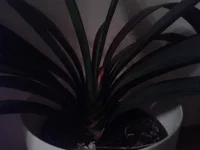 2013-12-10 20.17.25.webp