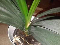 2013-12-10 20.09.51.webp