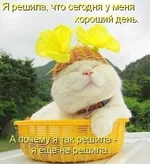 x_ec173081.webp