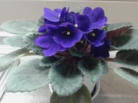 2014-02-05 20.01.58.webp