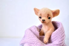 dog-15-3.webp