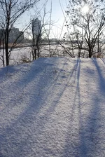DSC_0859.jpg