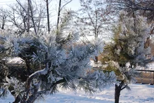 DSC_0884.webp