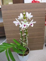 IMG_1002.webp