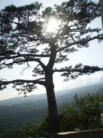 2.webp