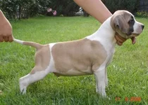 337_other1.webp