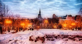 14.webp