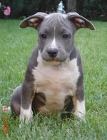 345_other4.webp
