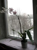 IMG_5876.webp