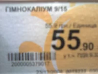 001ё.webp