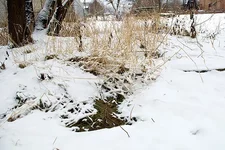 18 (3).webp