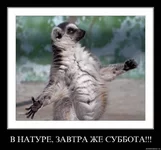 p16qln517rcvo3do117a1m2m1elt4.webp