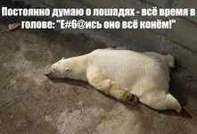 T7b1wM3WxrU.webp