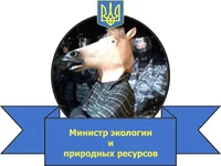 50132_original.webp