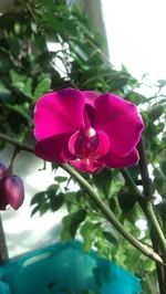 IMAG0070.webp