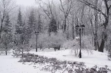 05.jpg