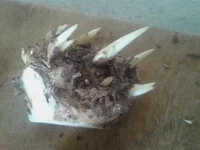 2014-02-08 12.01.39.webp