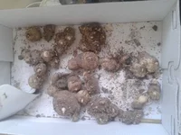 2014-02-08 12.01.56.webp