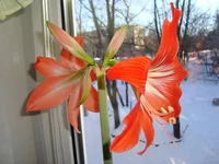 DSC04037.webp