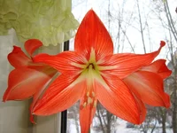 DSC04056.webp