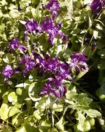 -0095.webp
