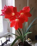 -0125.webp