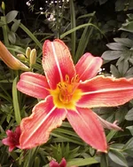 -0130.webp