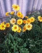-0142.webp