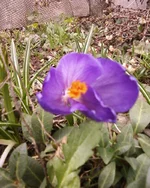-0229.webp
