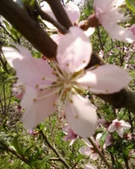 -0243.webp
