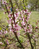 -0246.webp