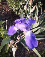 -0257.webp