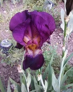 -0258.webp