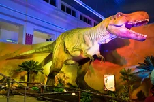 DSCF0780.webp