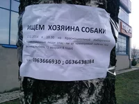 P130214_13.46.webp
