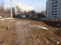 1110991.webp