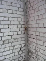1120029.webp