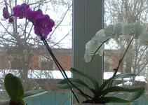 130120131481 - копия.webp