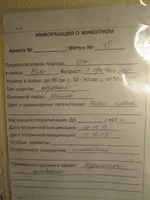  описание.webp