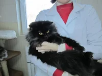Арина.JPG