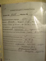  описание.webp