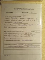  описание.webp