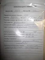  описание.webp