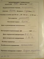  описание.webp