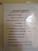  описание.webp