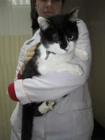 Лиана3.JPG