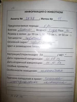  описание.webp