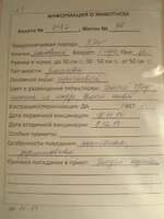  описание.webp